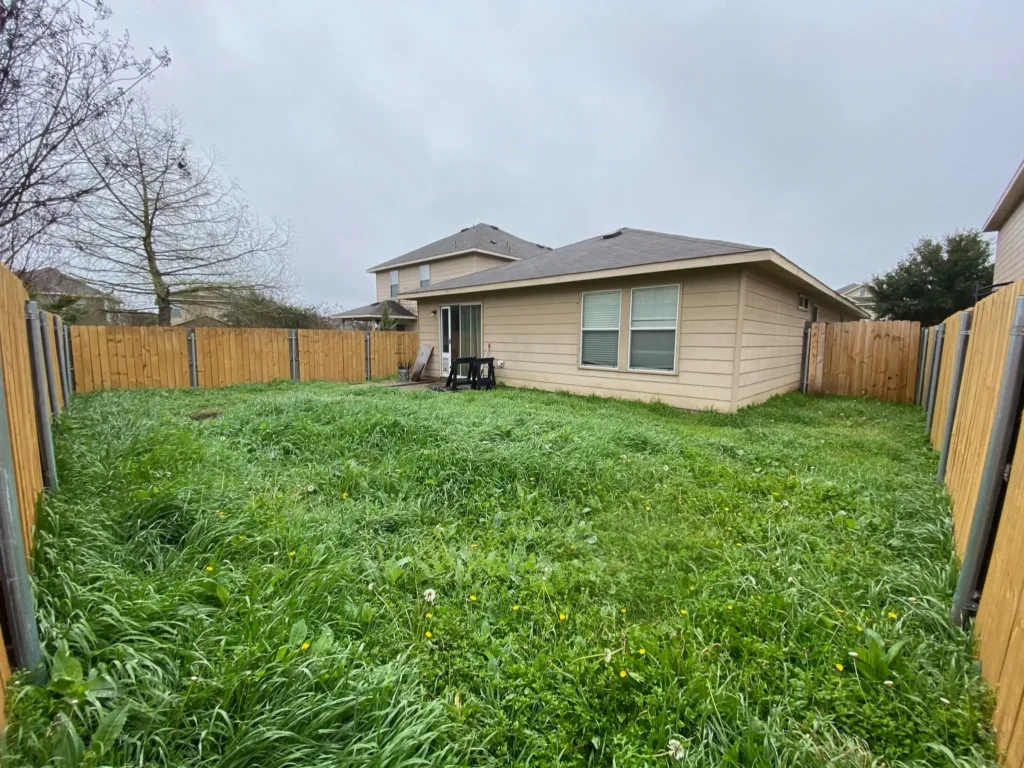 Overgrown backyard lawn with wild grass and dandelions, a beige house with a small patio, and a tall wooden fence in a cloudy suburban setting.