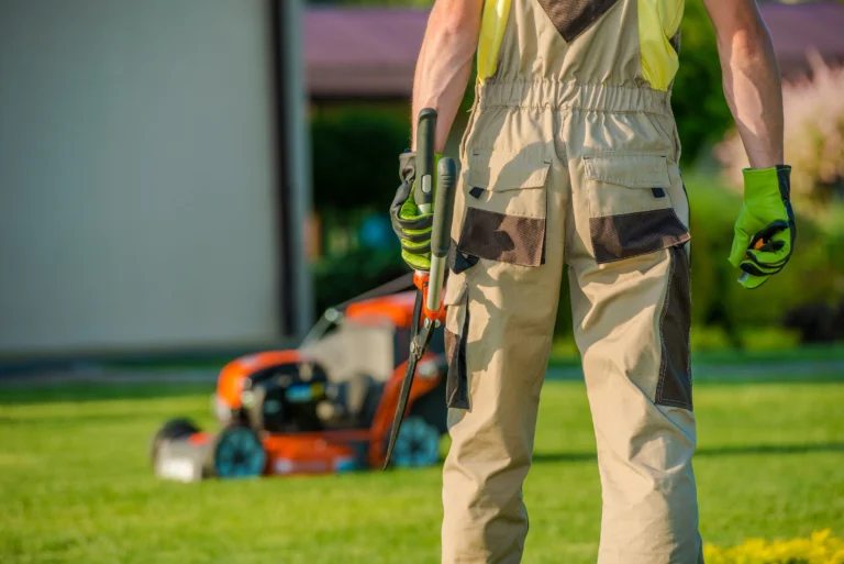 Care and Maintenance of Artificial Grass: Essential Tips for Longevity