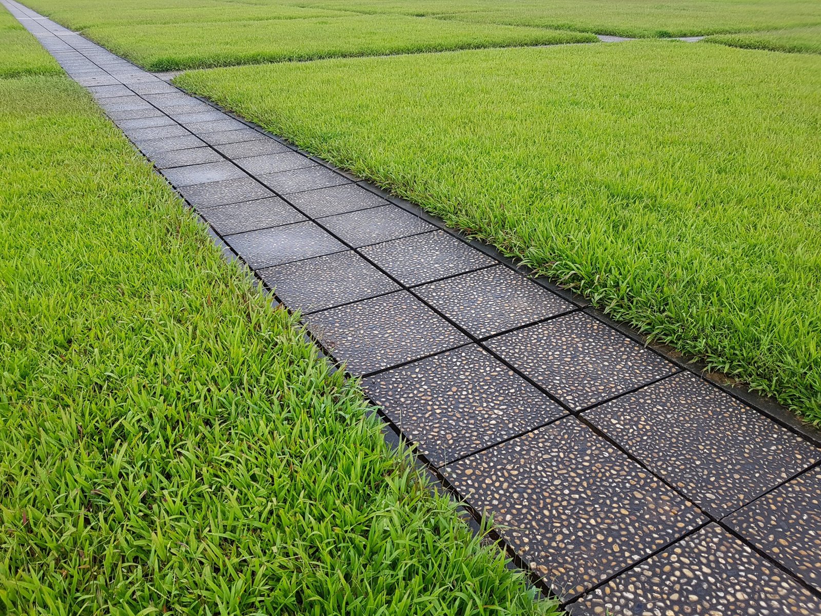 Why Choose Pave-N-Turf for Your Landscaping Project? Expert Solutions for Outdoor Excellence