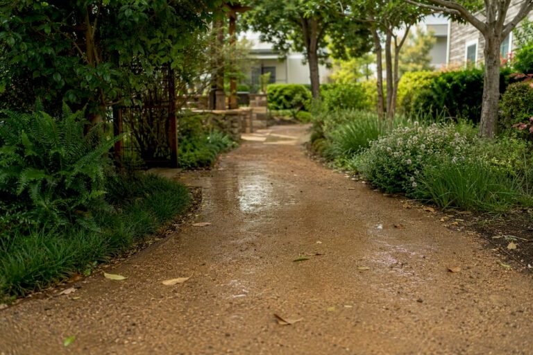 Wet decomposed granite path after rain