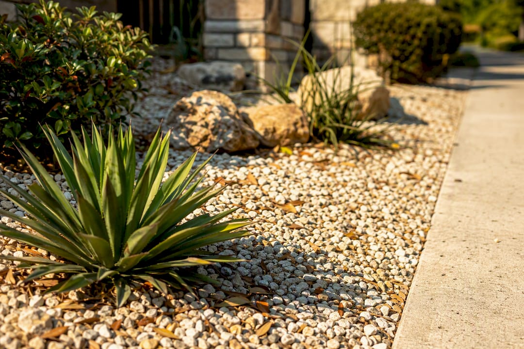 Close-up of light rock reflecting sun in Texas summer