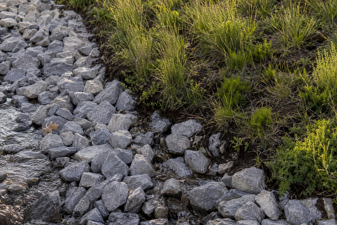 Riprap toe beside vegetated habitat slope