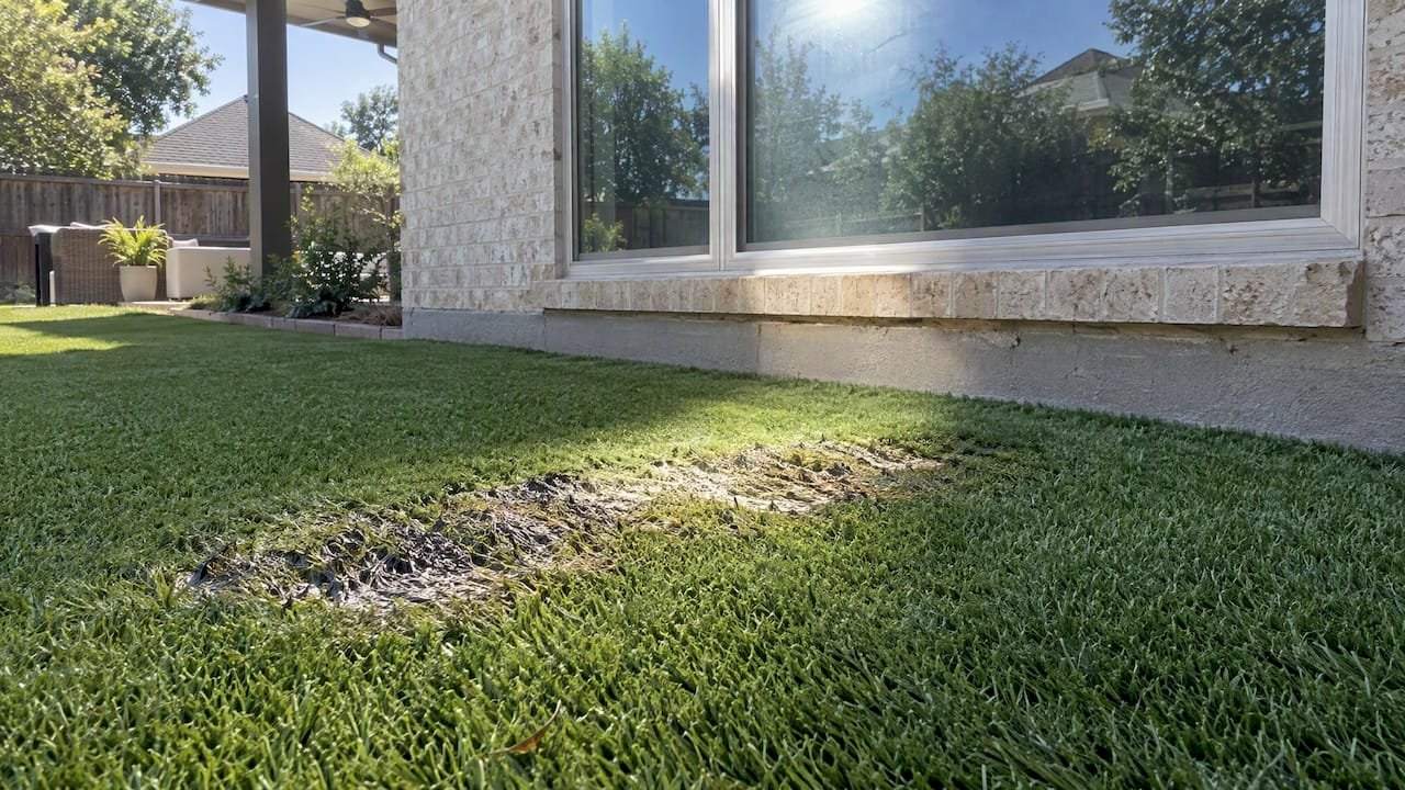 Reflected window heat scorching artificial turf